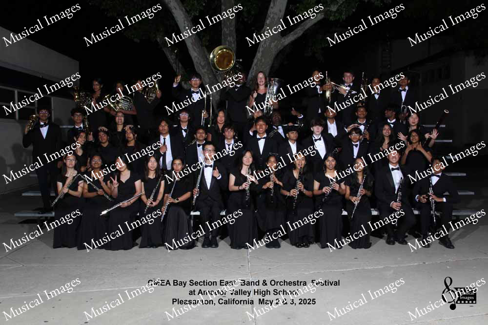 Musical Images